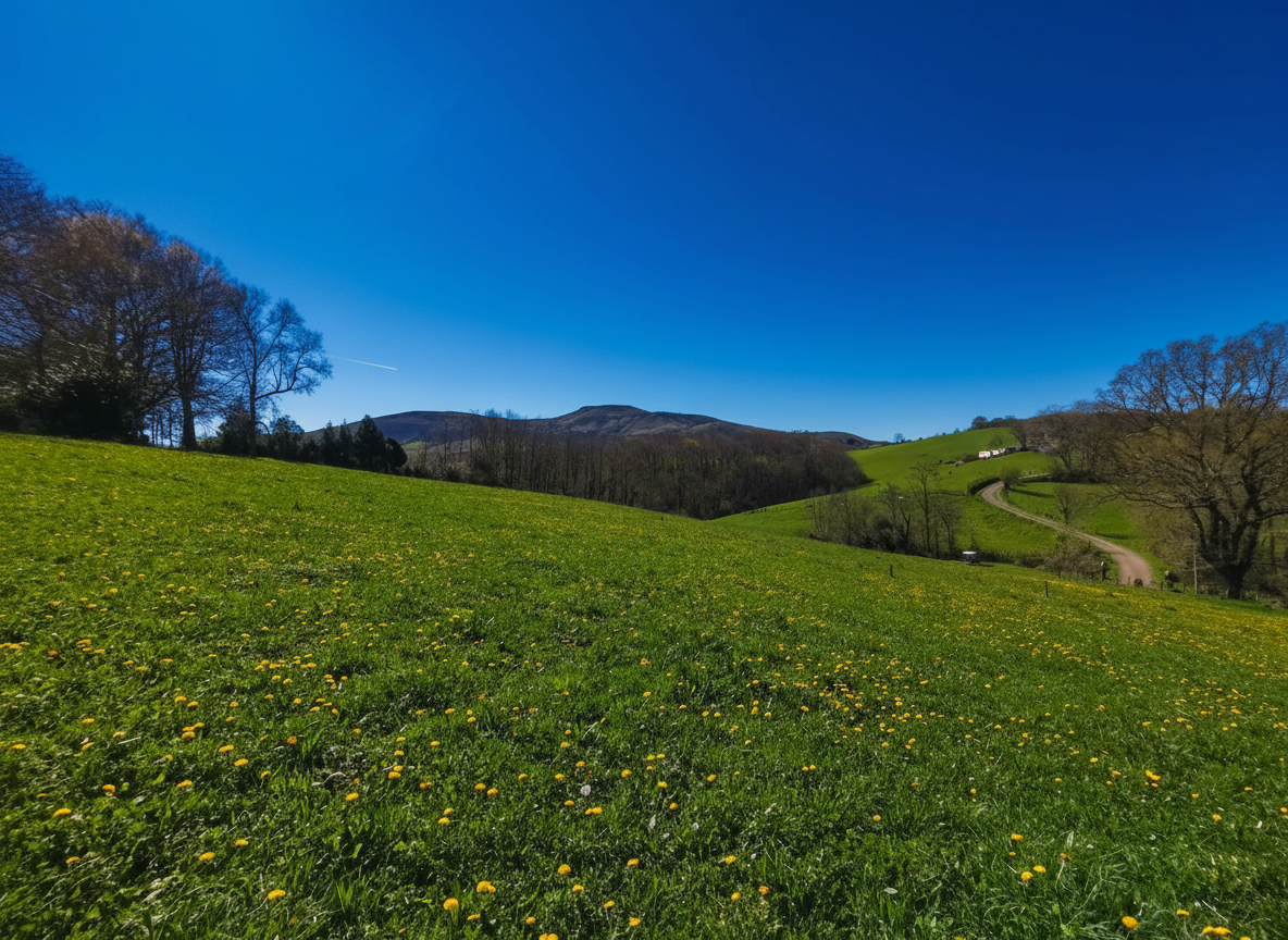 Terrain à bâtir 1315m² - Vue montagne