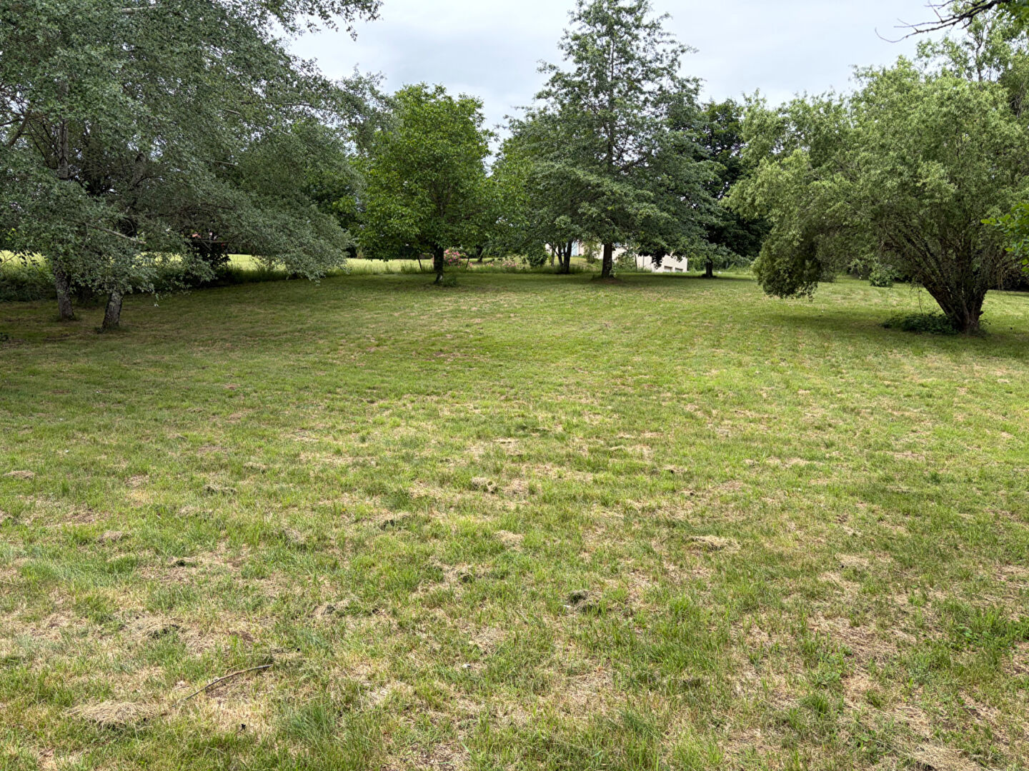 Terrain Naucelles 1786 m2