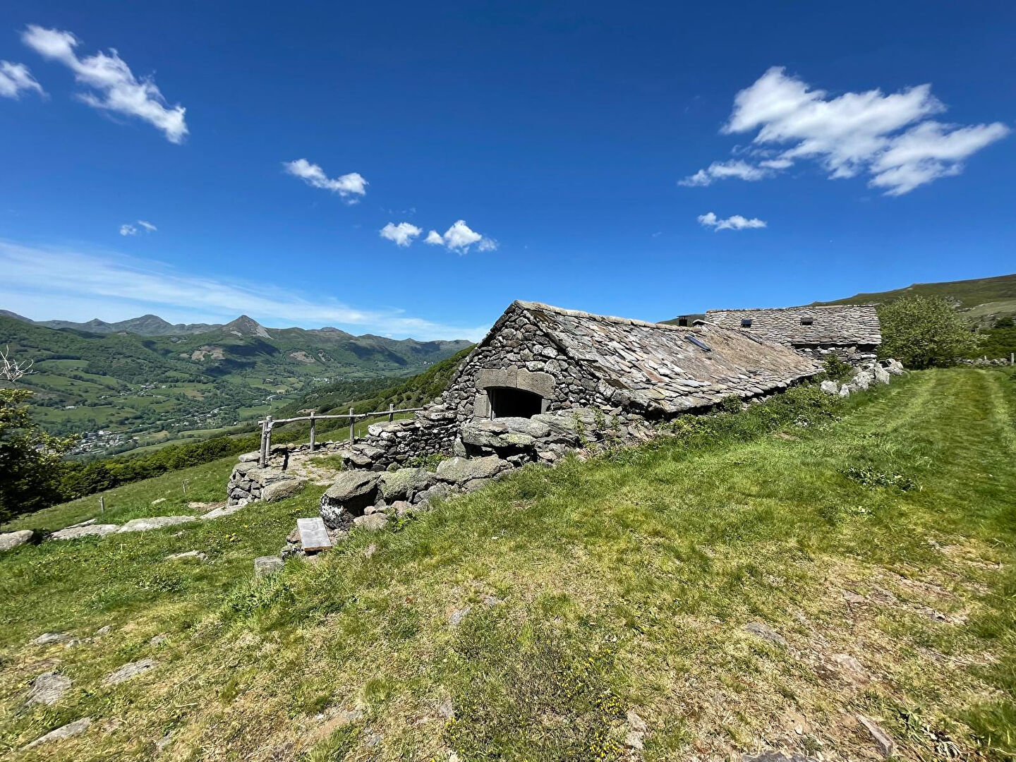 MAGNIFIQUE BURON