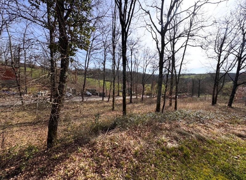 Agence immobilière de SELECTION HABITAT MONTAUBAN