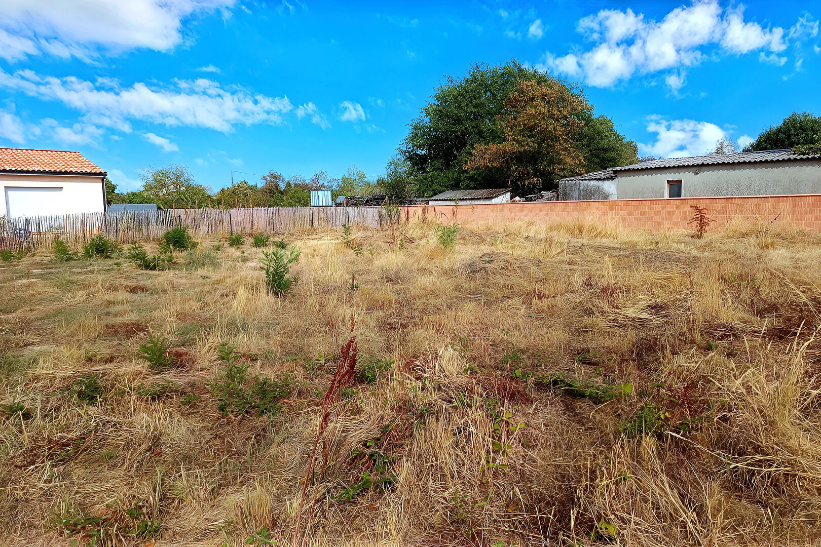 Terrain Florentin 784 m2