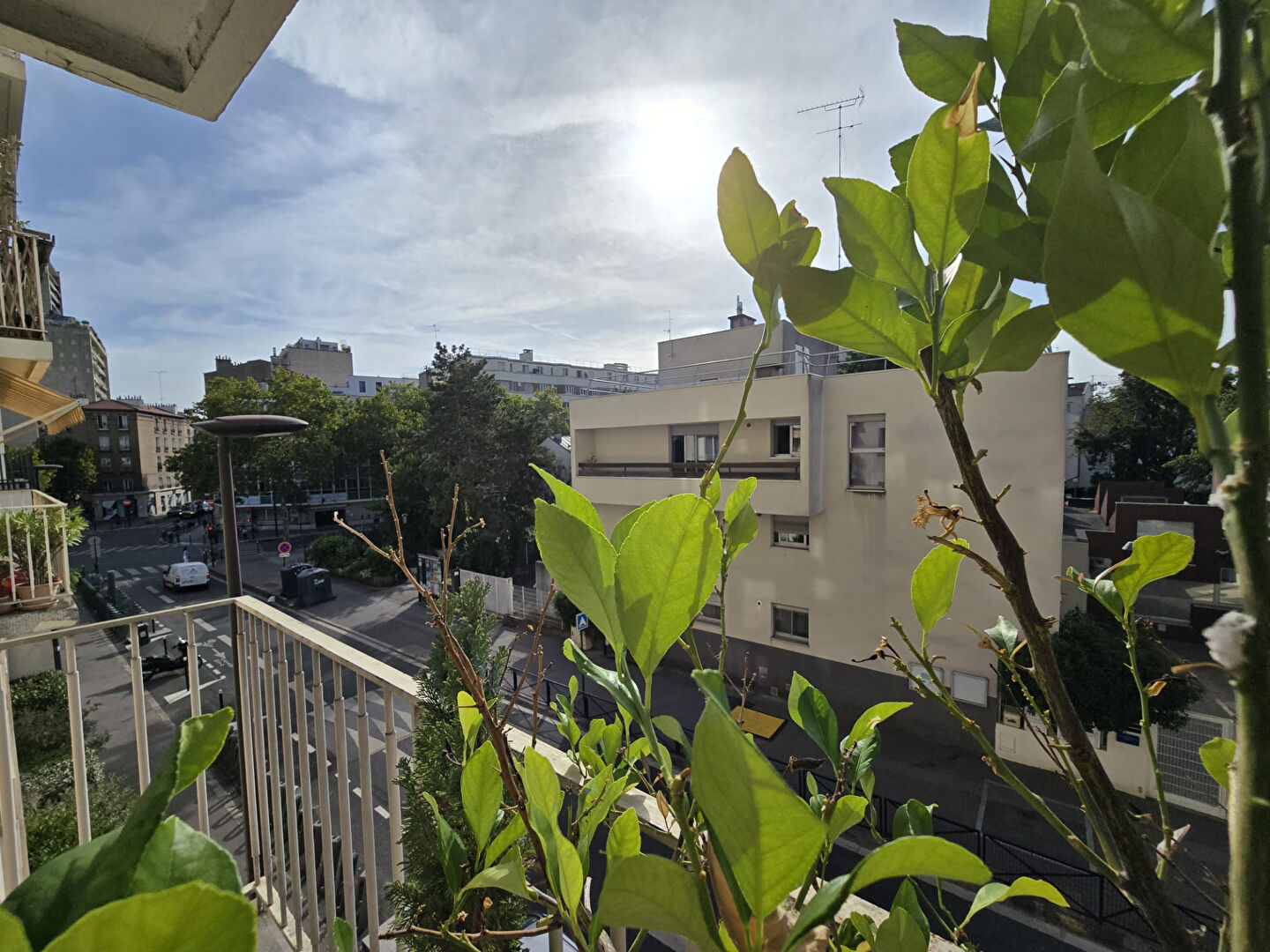 Agence immobilière de Selection Habitat - AGENCE HAMILTON PARIS