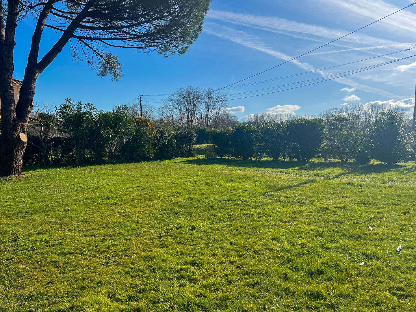 Agence immobilière de AGENCE HAMILTON SOORTS-HOSSEGOR