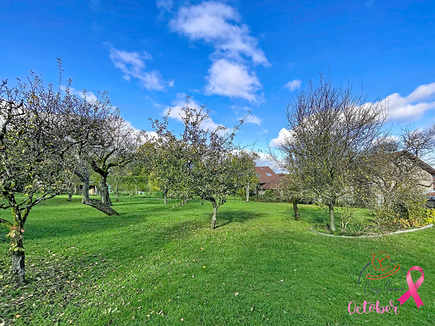 Photo Terrain constructible 770m2 à Collonges 01550 image 2/4