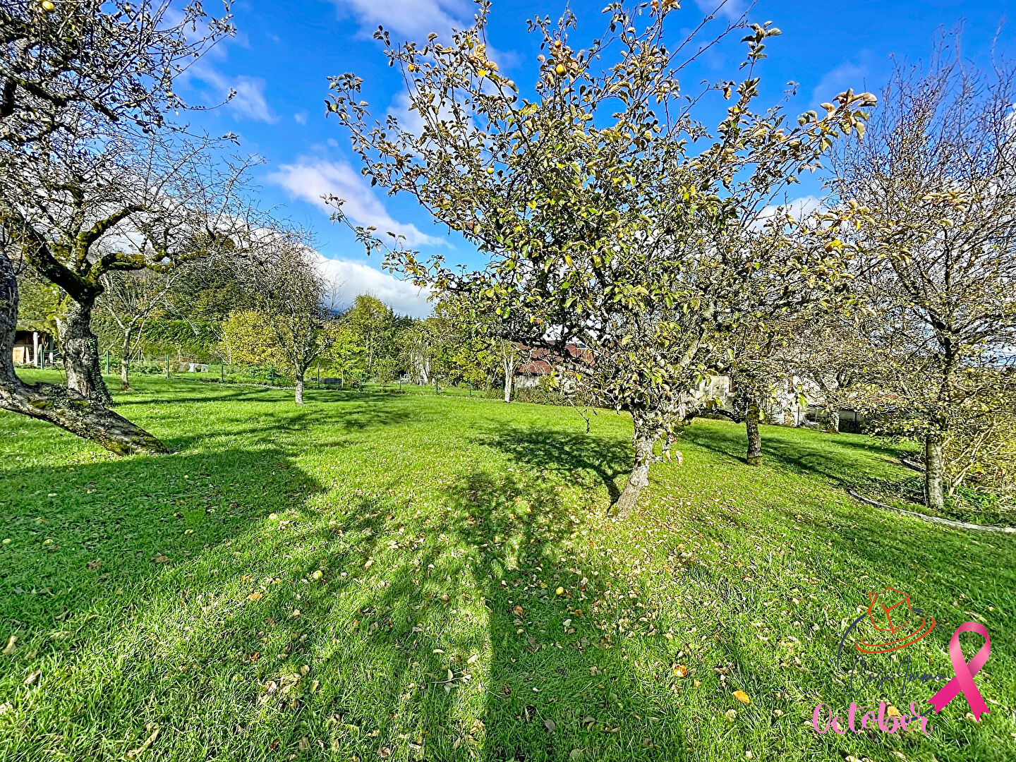 Photo Terrain constructible 770m2 à Collonges 01550 image 3/4