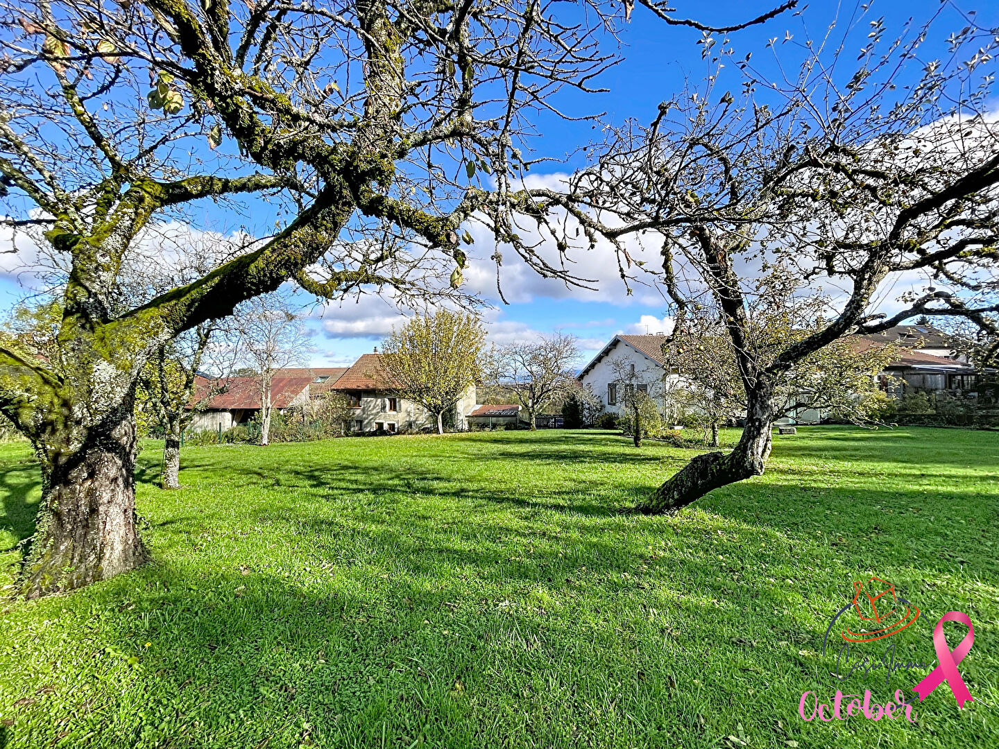 Photo Terrain constructible 770m2 à Collonges 01550 image 4/4