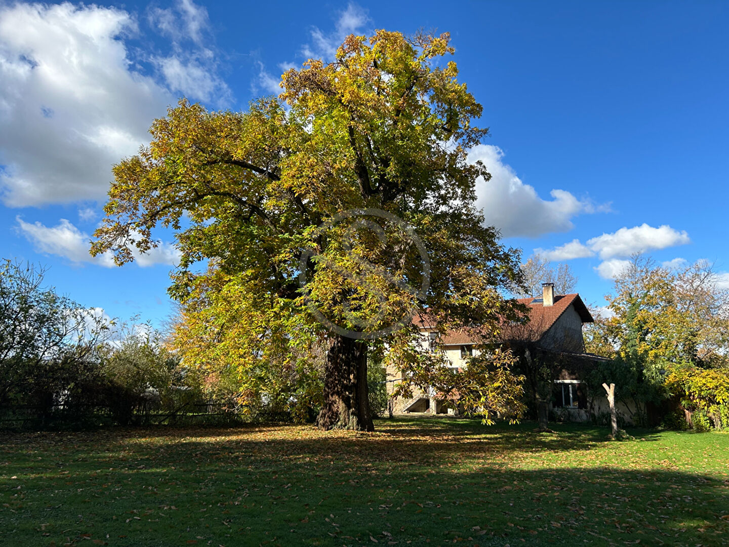 Agence immobilière de STARTHOM IMMOBILIER