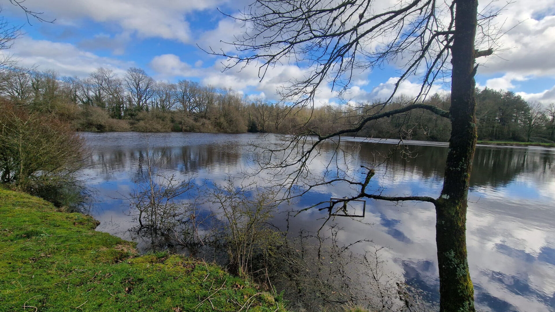 image
PROPRIETE DE LOISIRS - VENANSAULT - 25 HA