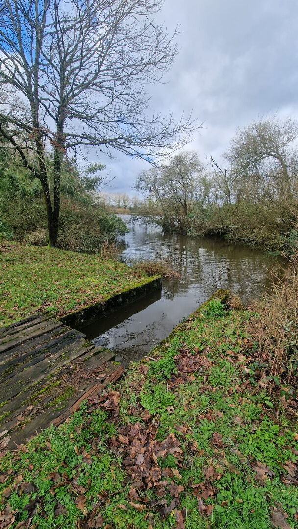 image
PROPRIETE DE LOISIRS - VENANSAULT - 25 HA