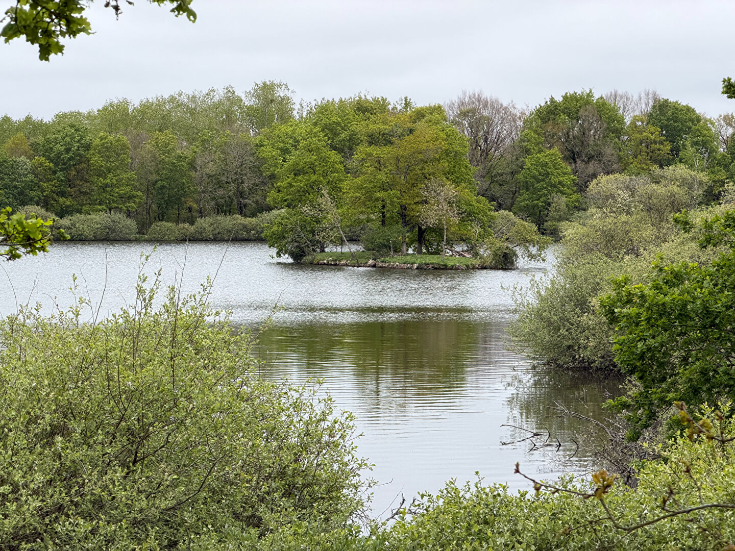 image
PROPRIETE DE LOISIRS - VENANSAULT - 25 HA