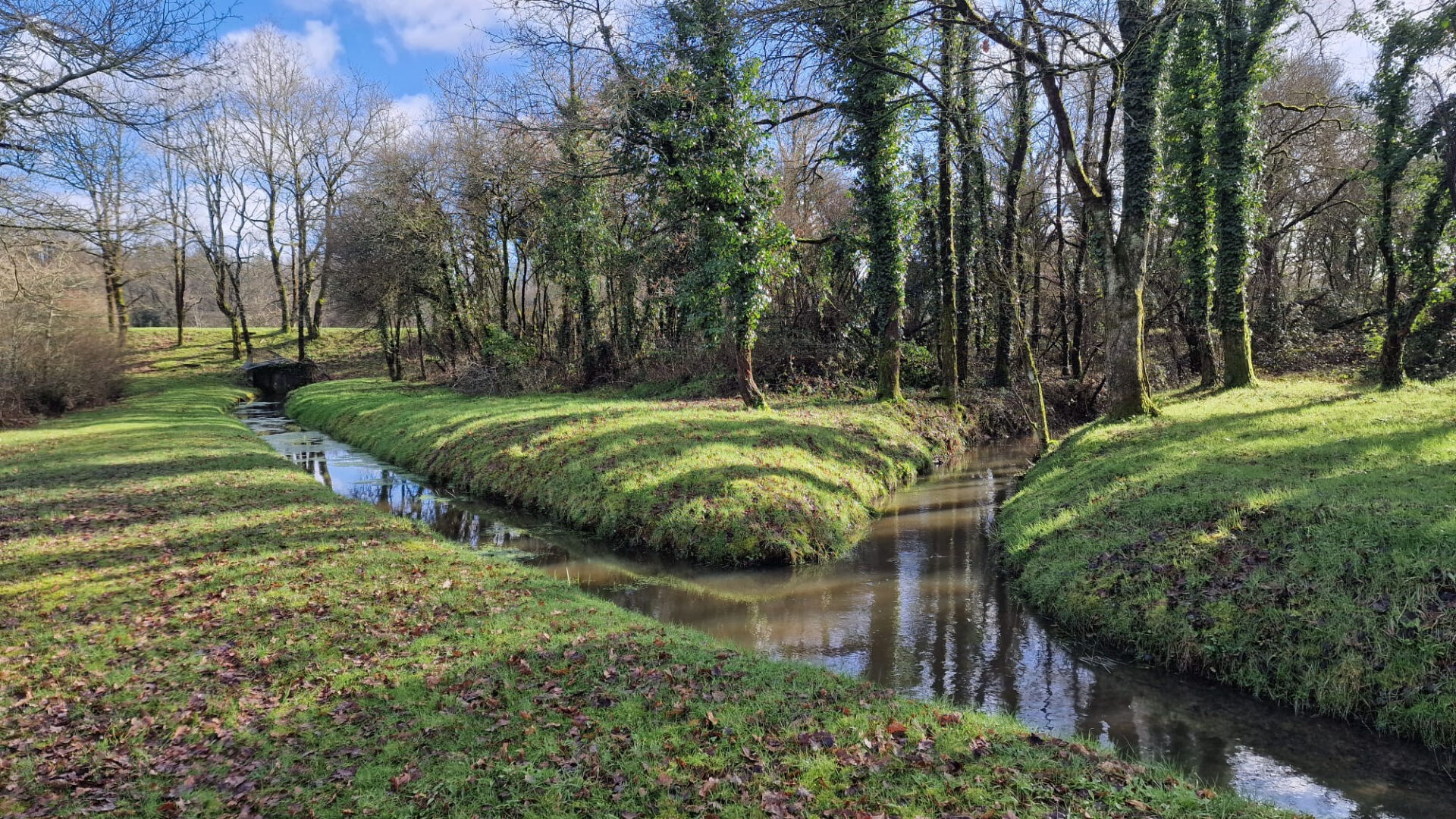 image
PROPRIETE DE LOISIRS - VENANSAULT - 25 HA