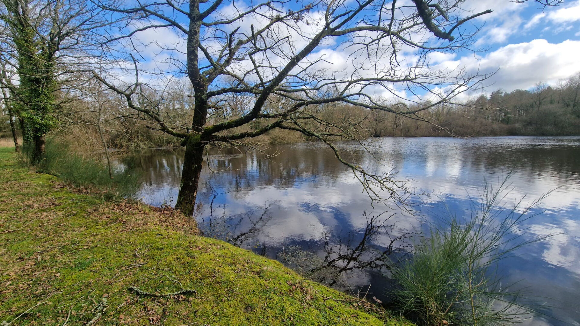 image
PROPRIETE DE LOISIRS - VENANSAULT - 25 HA