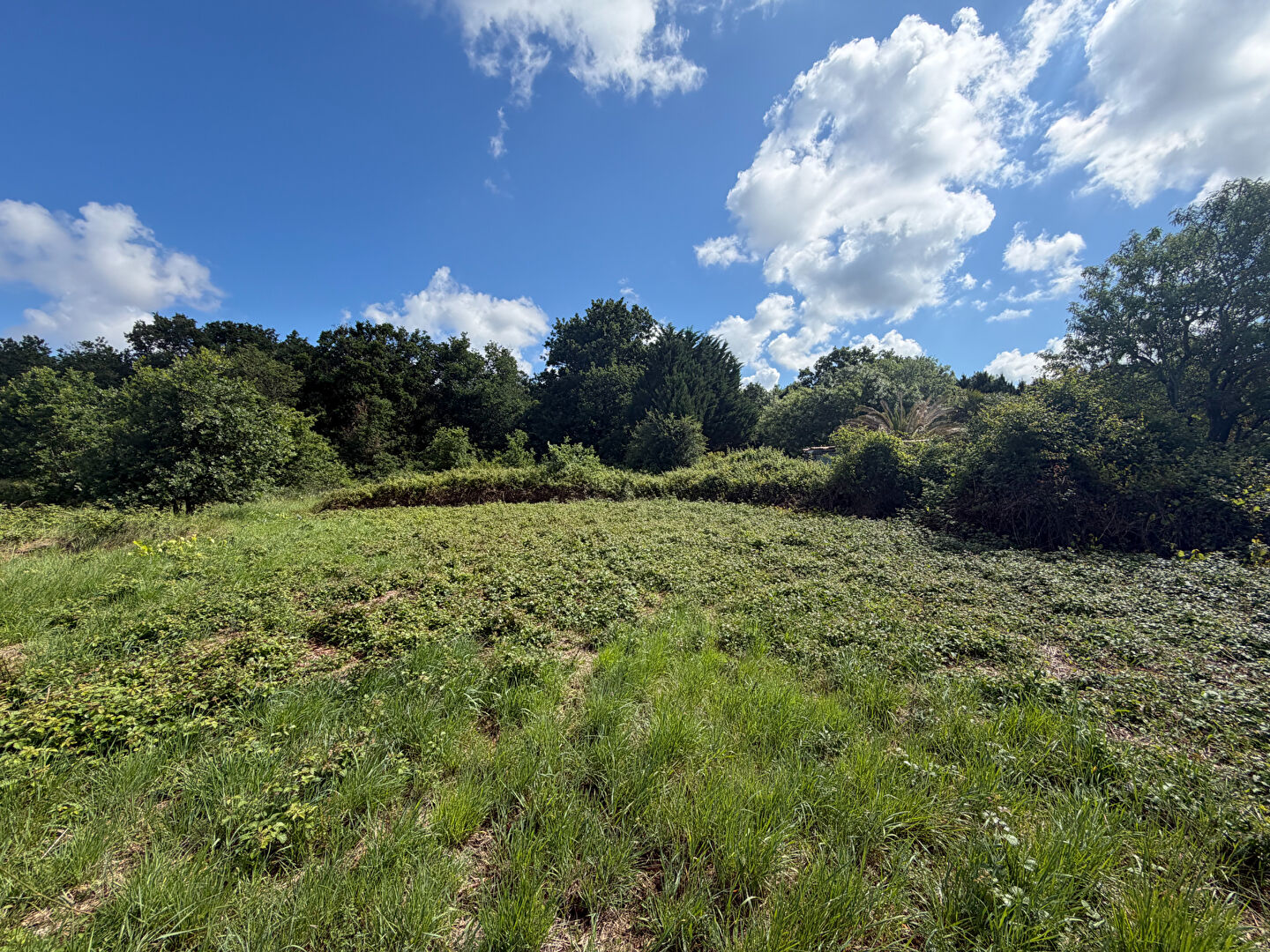 image
BOURCEFRANC LE CHAPUS - TERRAIN 10644 m2