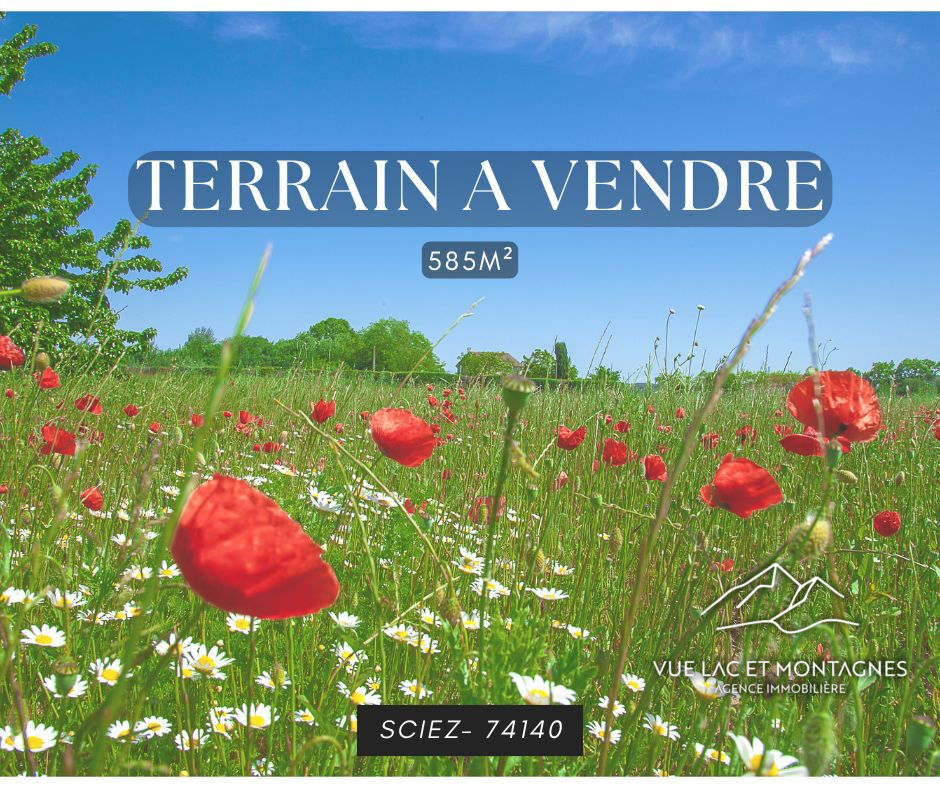 Agence immobilière de VUE LAC ET MONTAGNES Messery