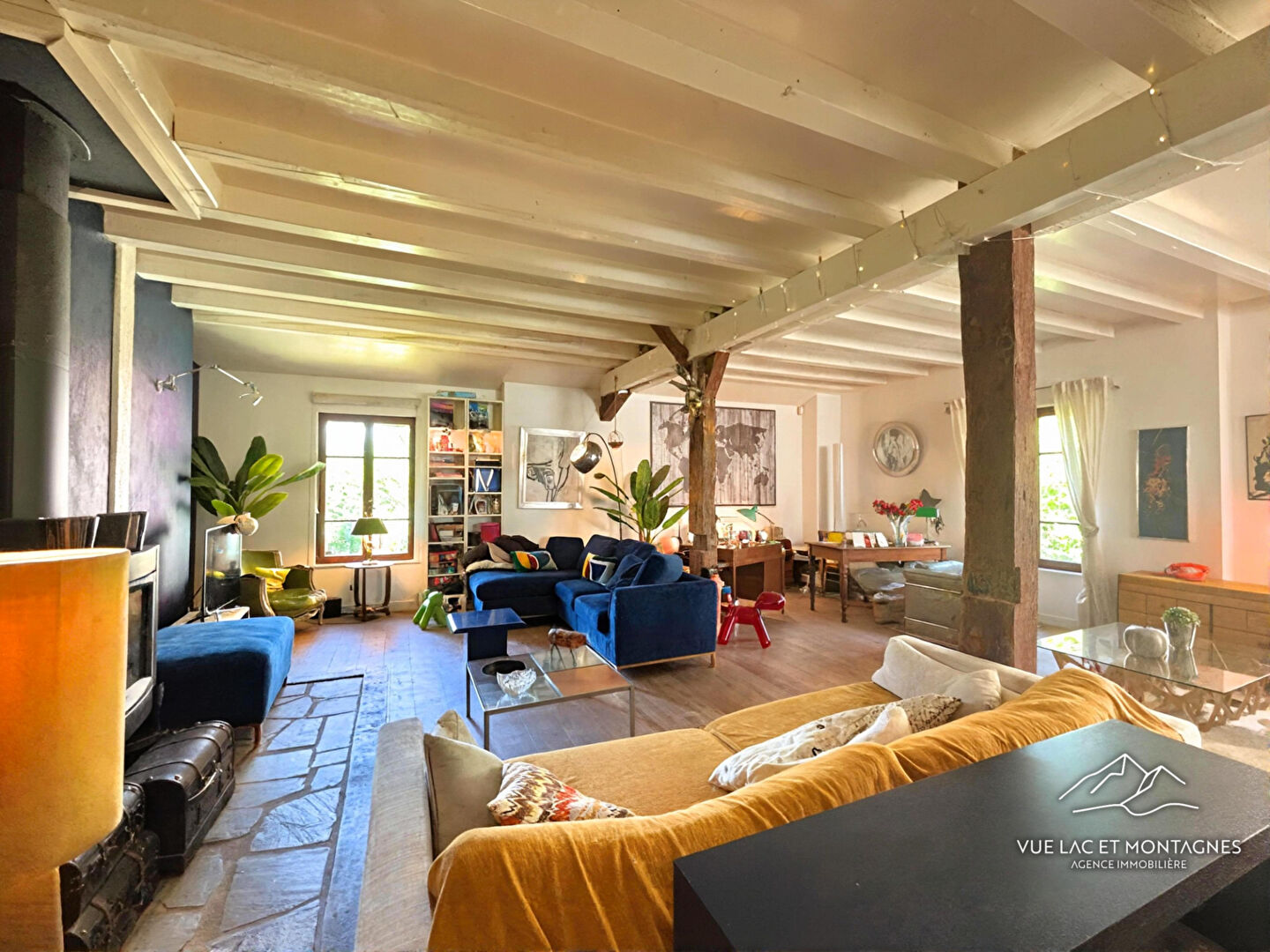 Agence immobilière de VUE LAC ET MONTAGNES Messery