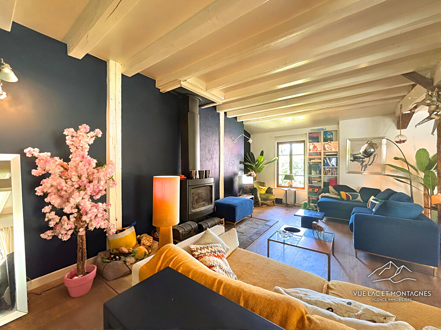 Agence immobilière de VUE LAC ET MONTAGNES Messery