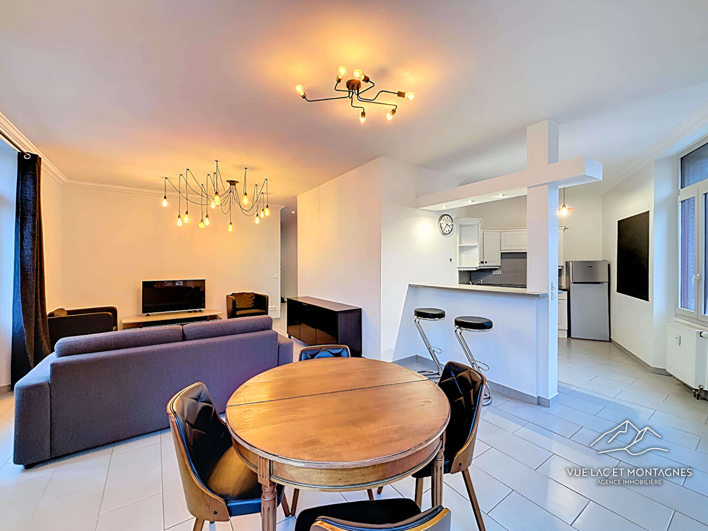 Agence immobilière de VUE LAC ET MONTAGNES Messery