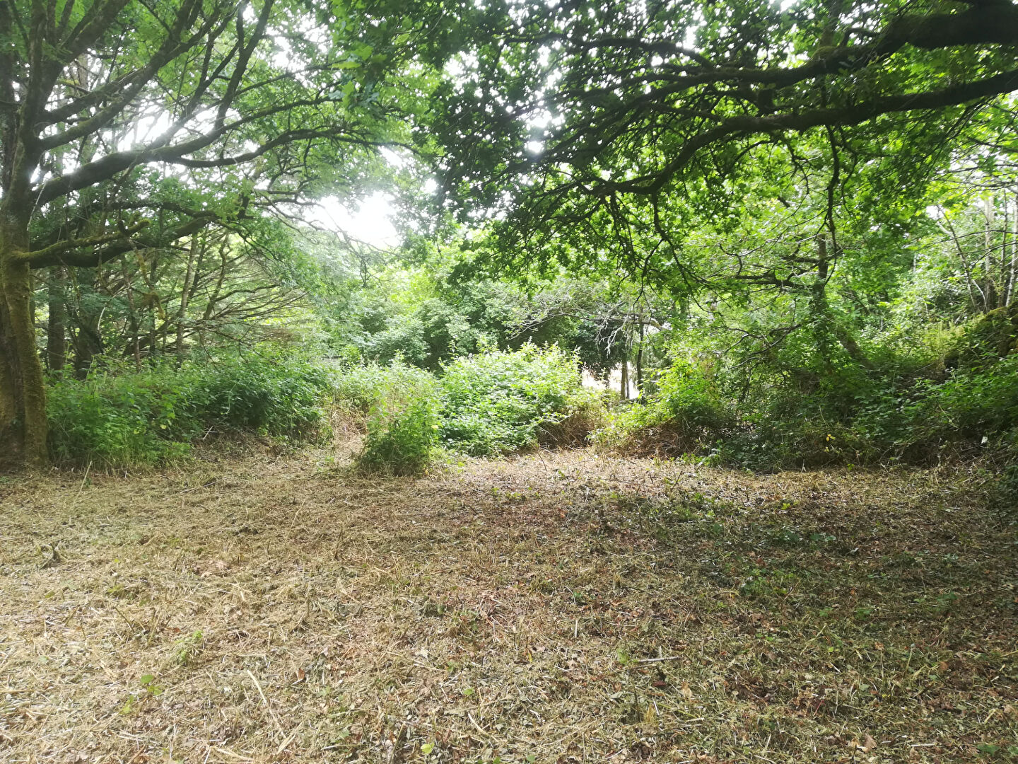 Terrain Quistinic 605 m2