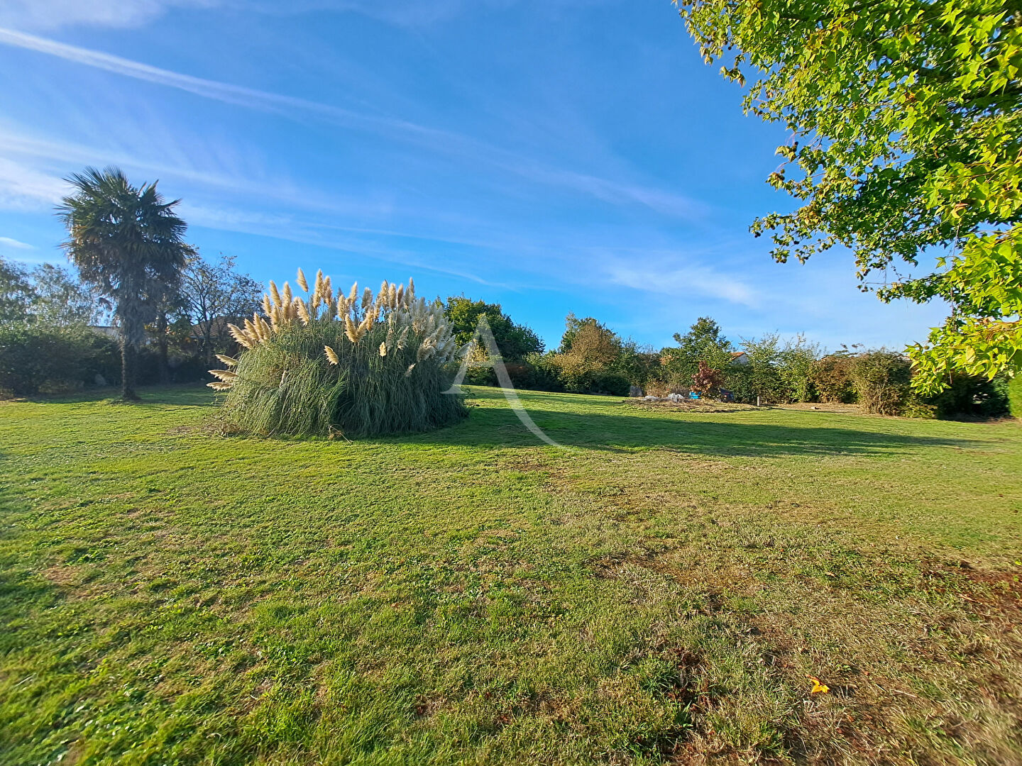 Photo Maison BEAUREPAIRE image 2/6