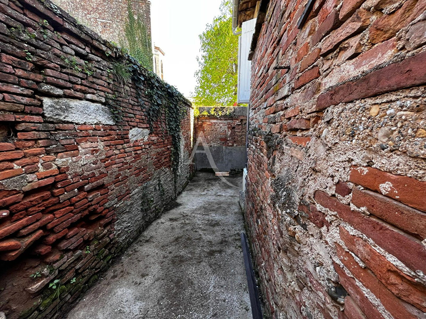 Local commercial et appartement en plein centre de Rabastens !