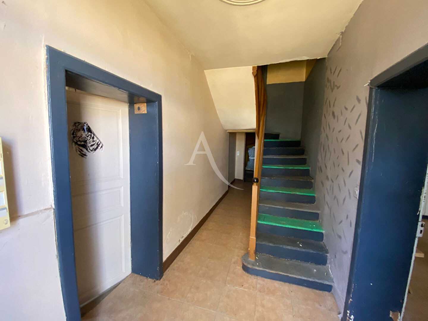 Ancienne bâtisse avec jardin située au centre de Bessières !