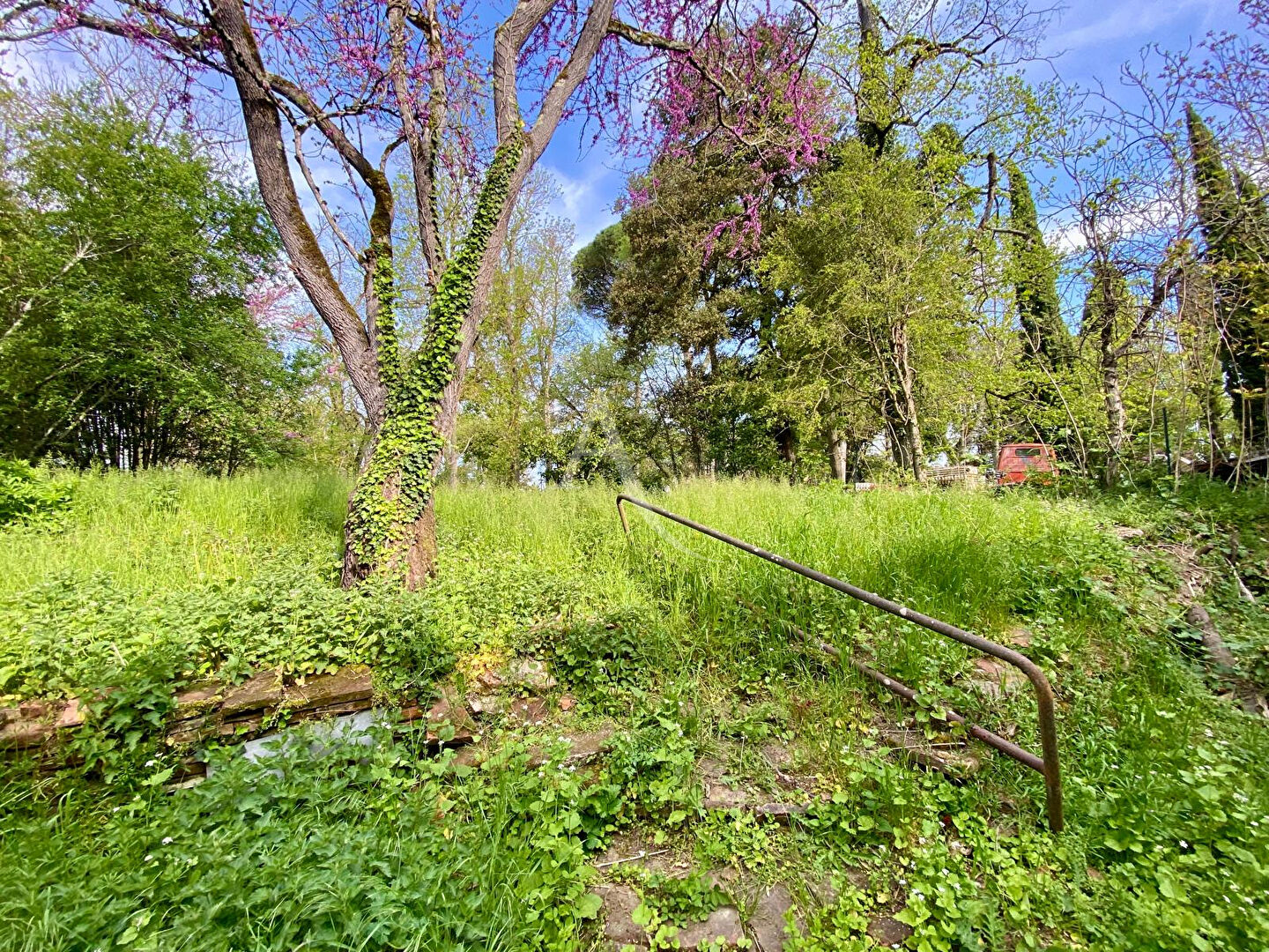 Photo - MAISON DE CARACTERE - Fort Potentiel - image 3/6