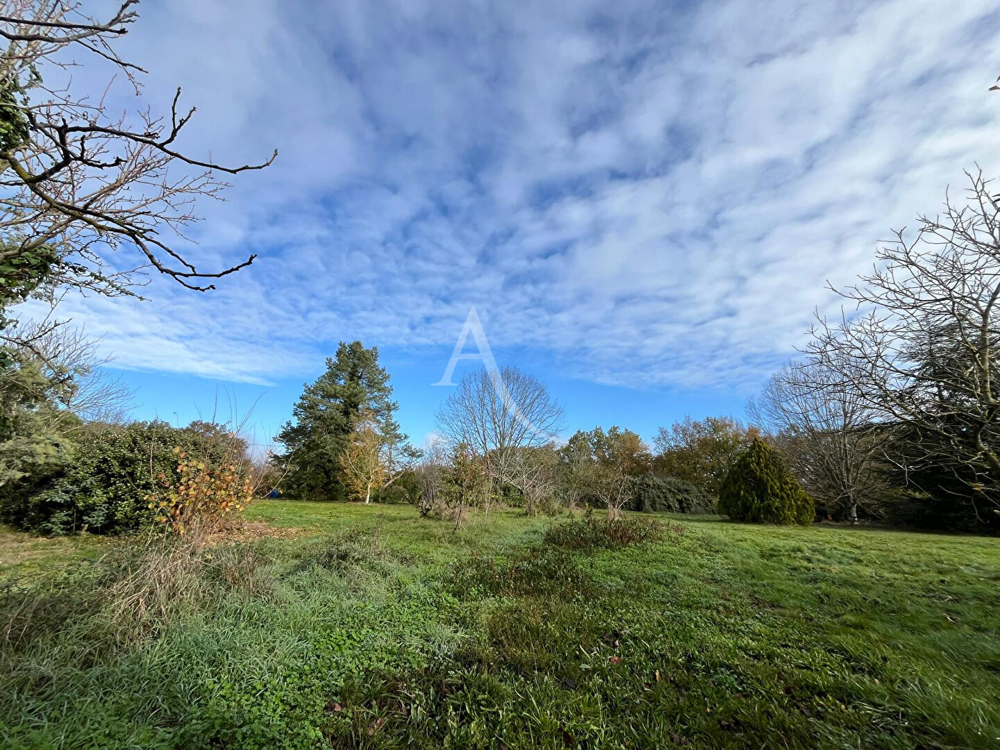 Photo Terrain à Grazac de 3500 m² image 2/6