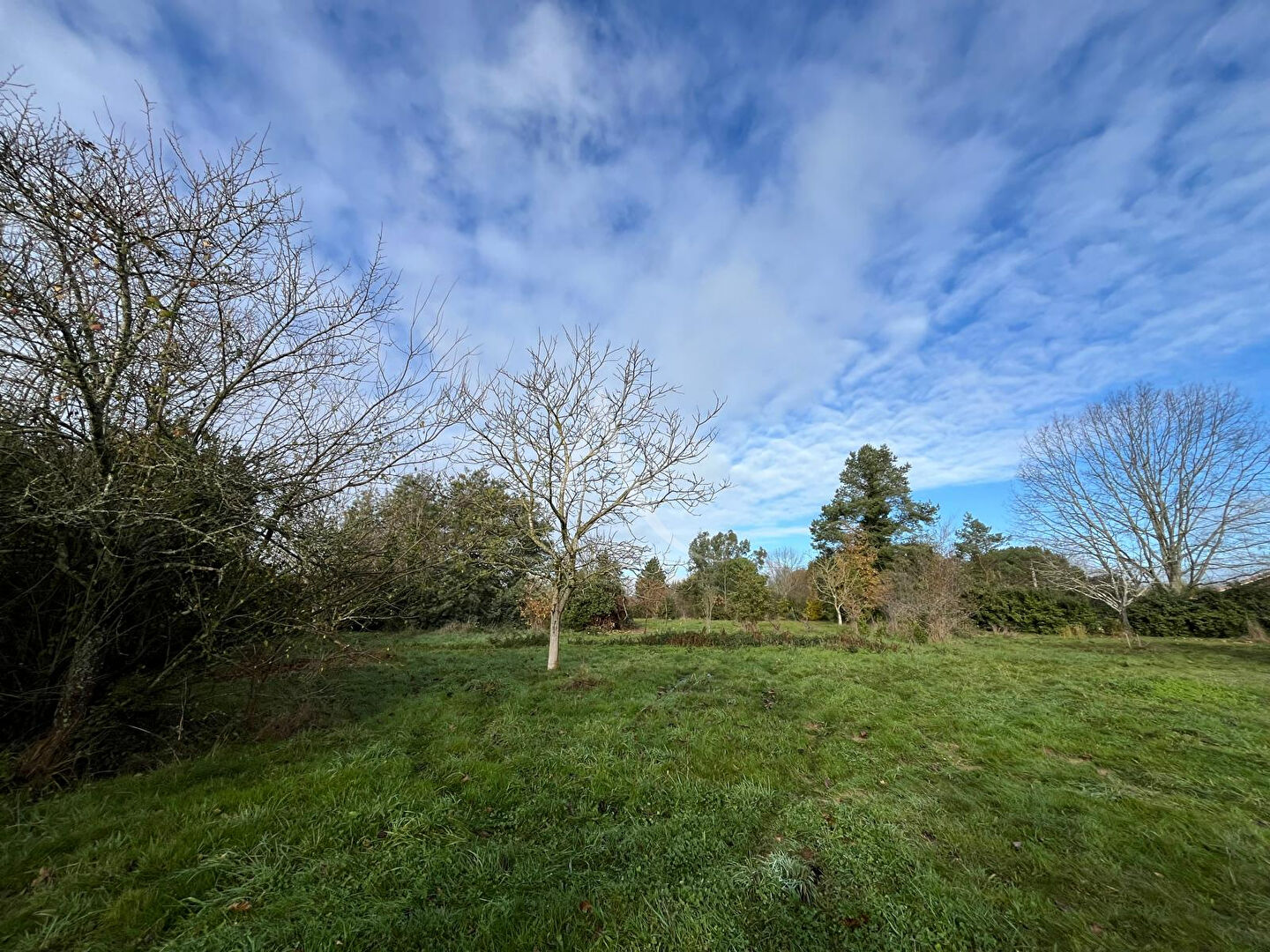 Photo Terrain à Grazac de 3500 m² image 3/6