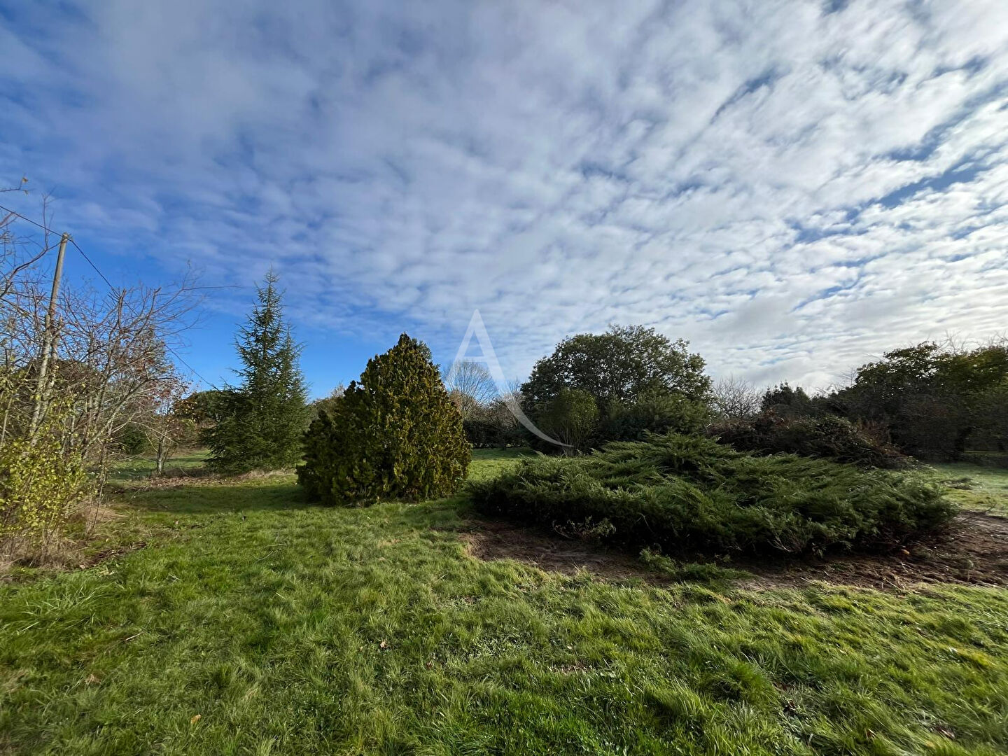 Photo Terrain à Grazac de 3500 m² image 6/6