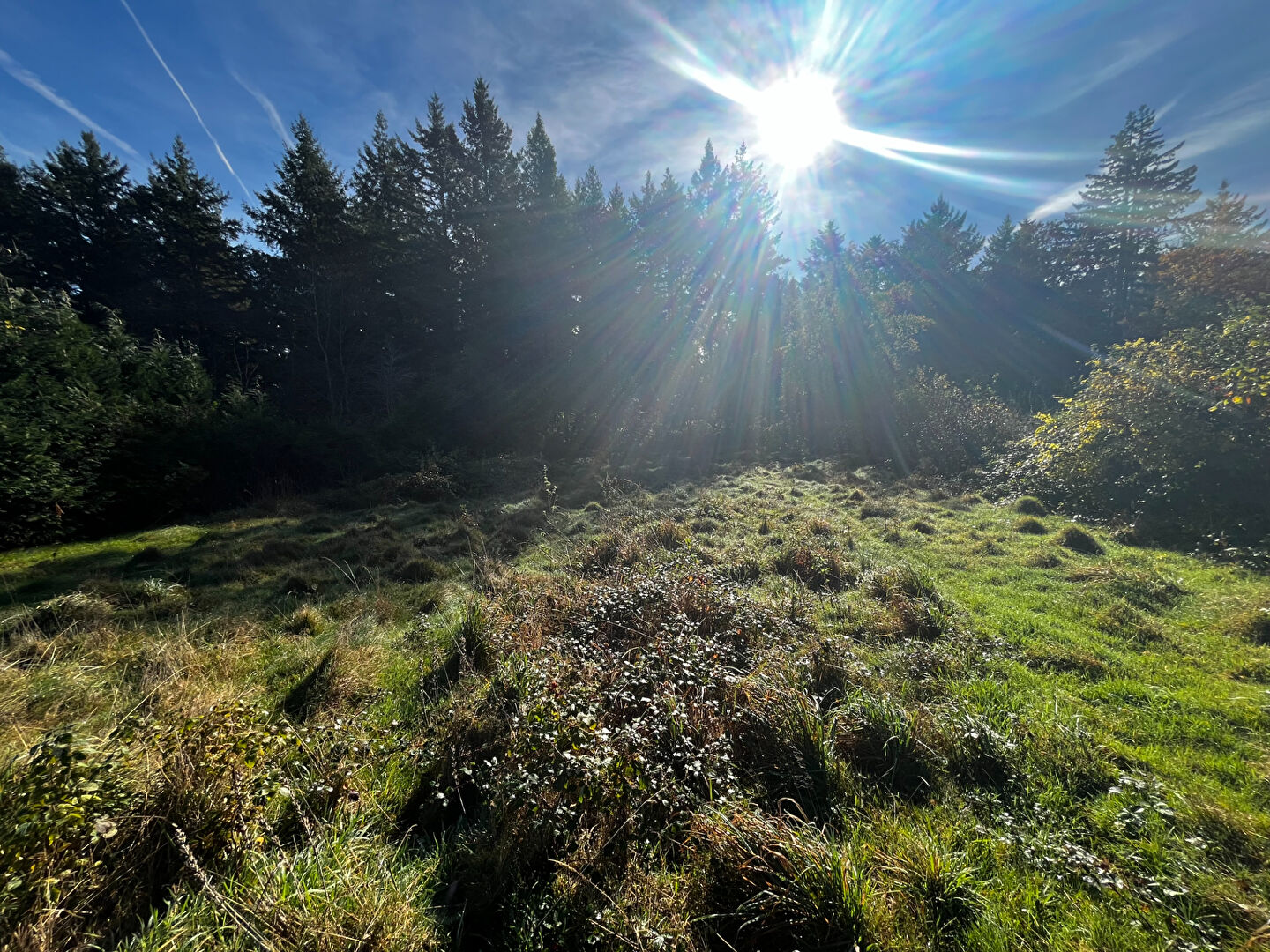 Photo Terrain constructible viabilisé de 1900 m2 image 5/5