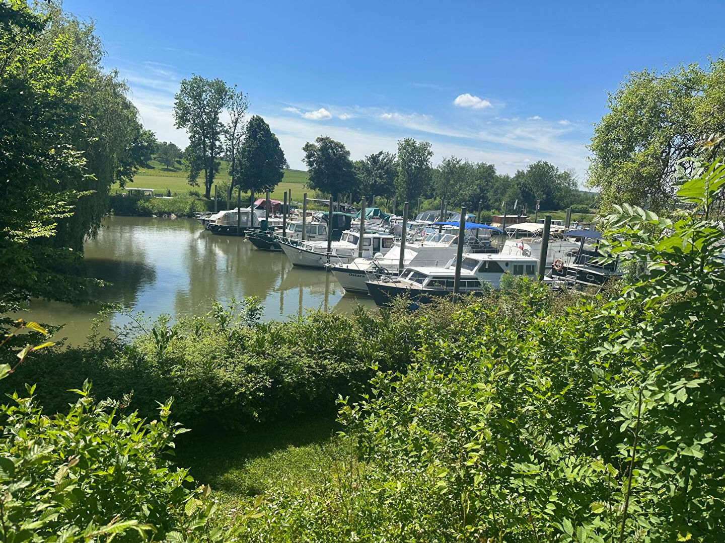 Photo Murs et Fonds de commerce en restauration image 5/6