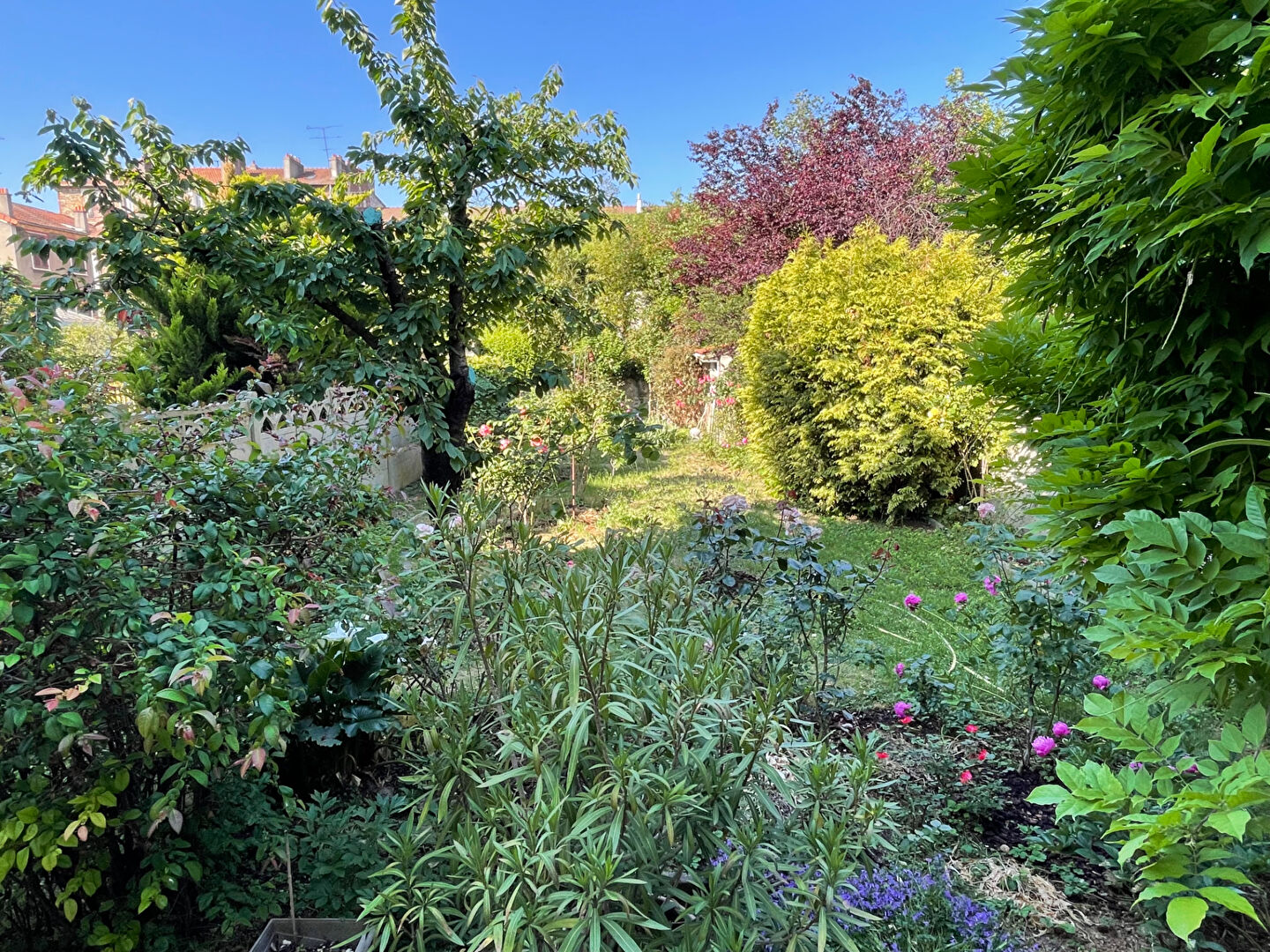Agence immobilière de L'Adresse Maisons-Alfort