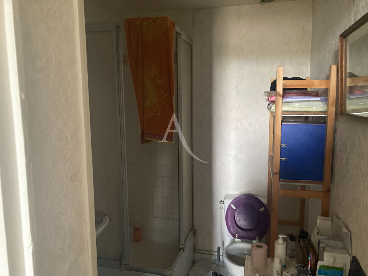 Photo Appartement Alfortville 2 pièce(s) 35.28 m2 image 5/6