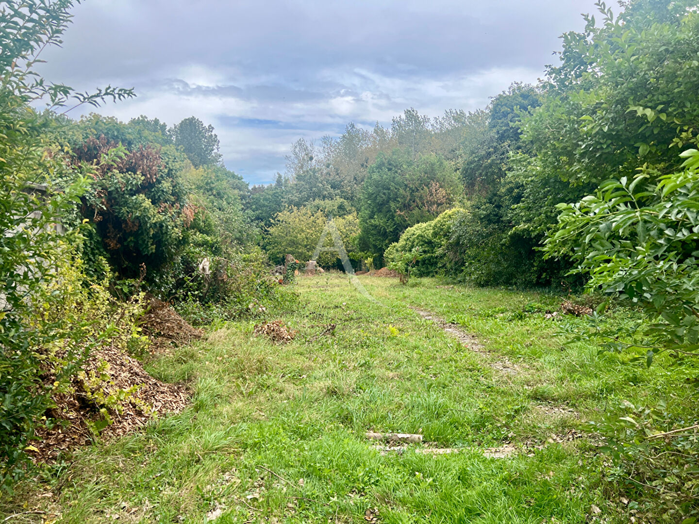 Photo Terrain constructible de 1324m2 - Claye Souilly image 2/2
