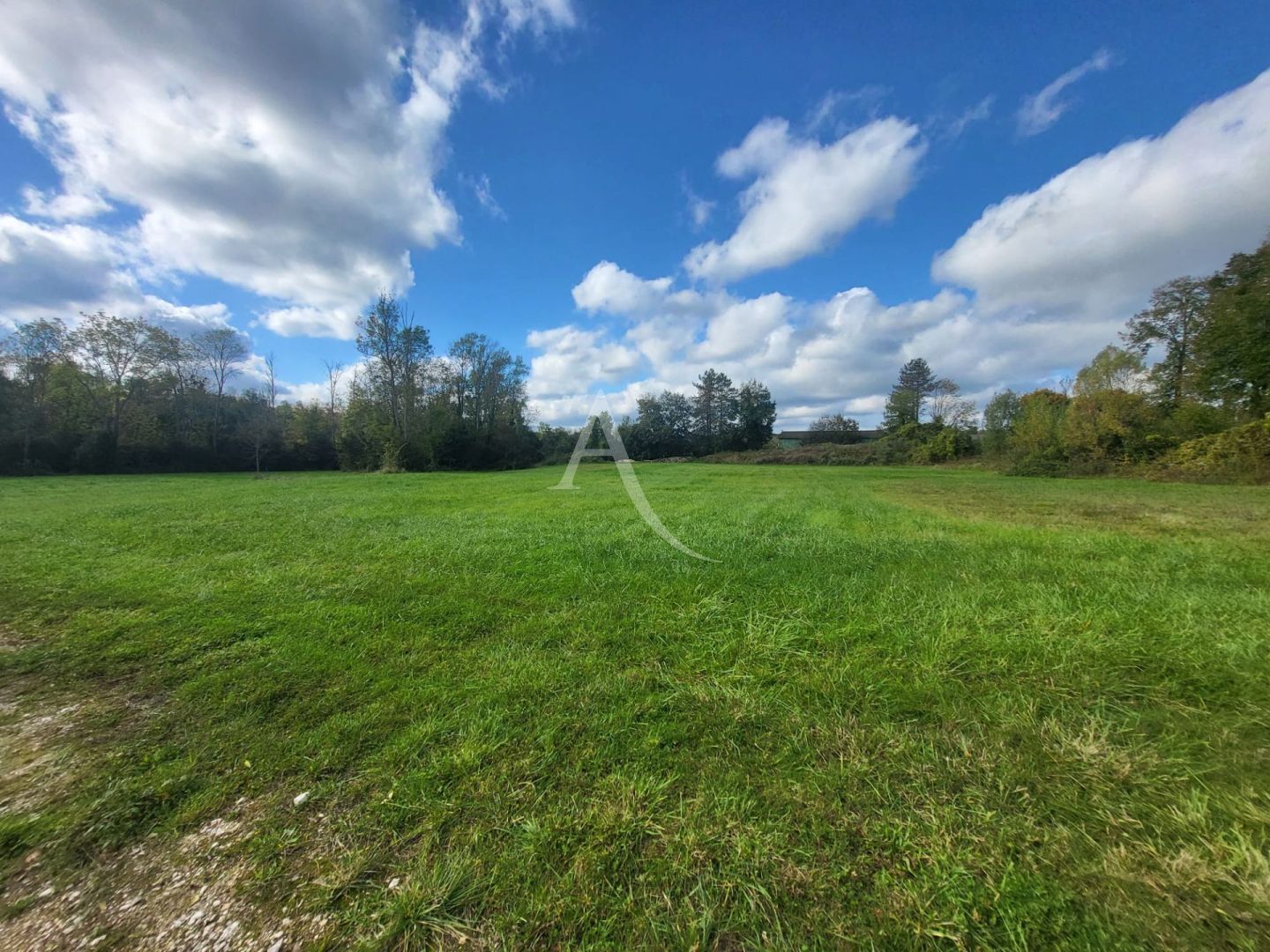VERNOU LA CELLE SUR SEINE -77670 : terrain commercial de 24 000 m² à vendre