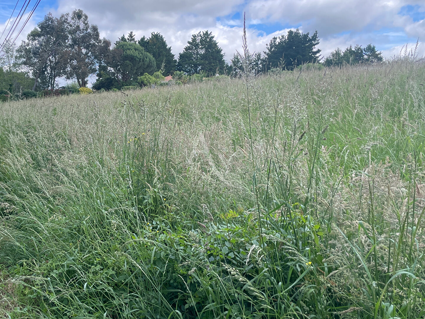 Agence immobilière de L'Adresse Moutiers-les-Mauxfaits