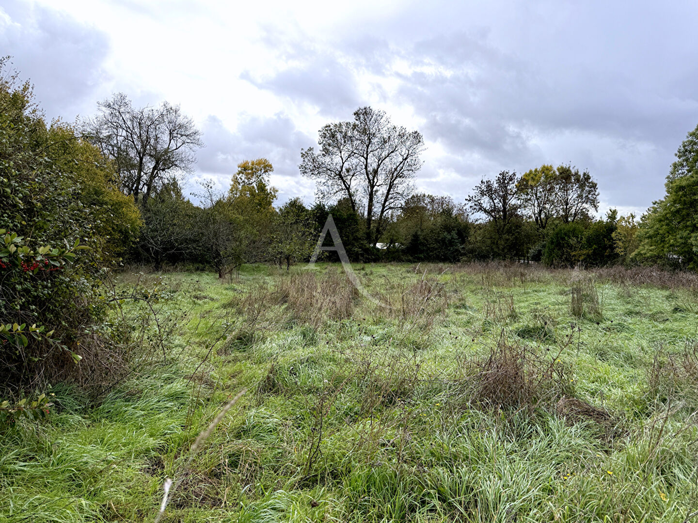 Terrain Saint Cyr En Talmondais 1800 m2