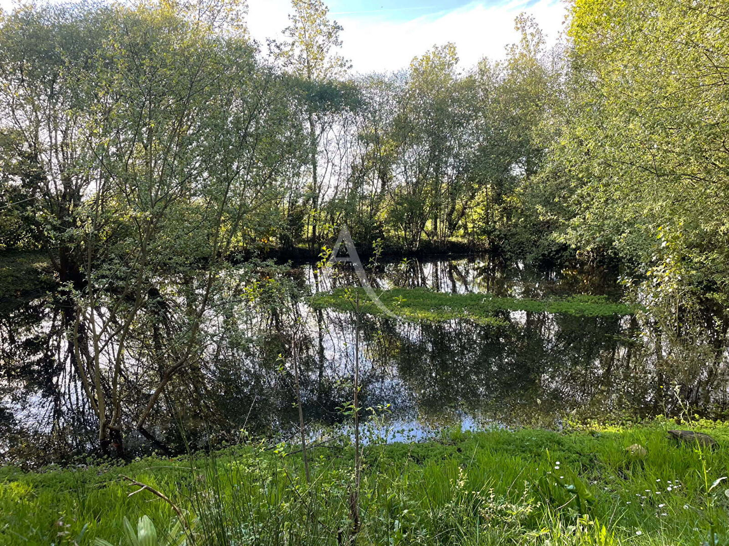 Nieul Le Dolent Terrain de loisirs avec petit étang