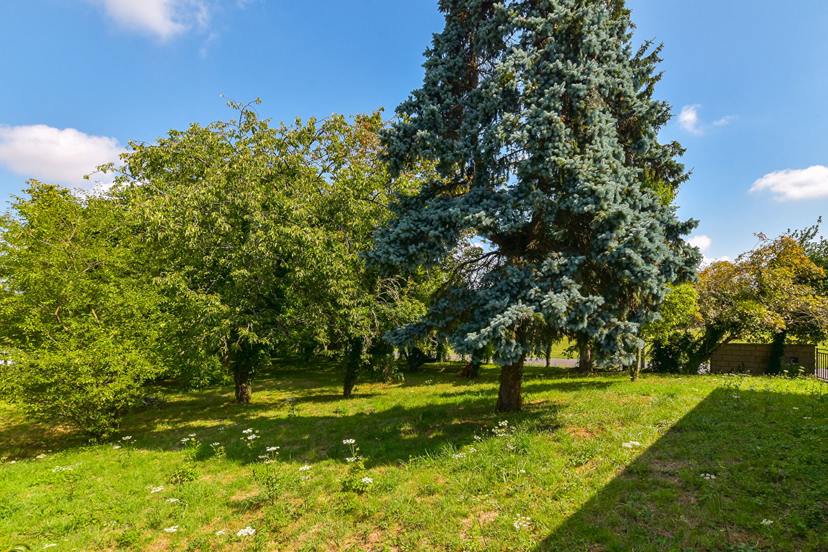 Agence immobilière de L'adresse Concept Premium - L'ADRESSE Concept Premium - Guignes