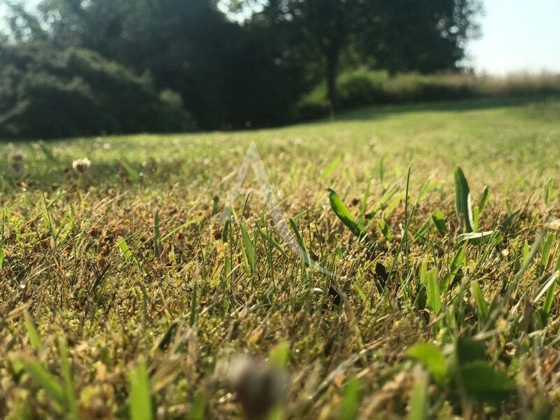 Photo A vendre - Terrain de 462m² - testauto_Terrain_12-10-2025 image 6/6