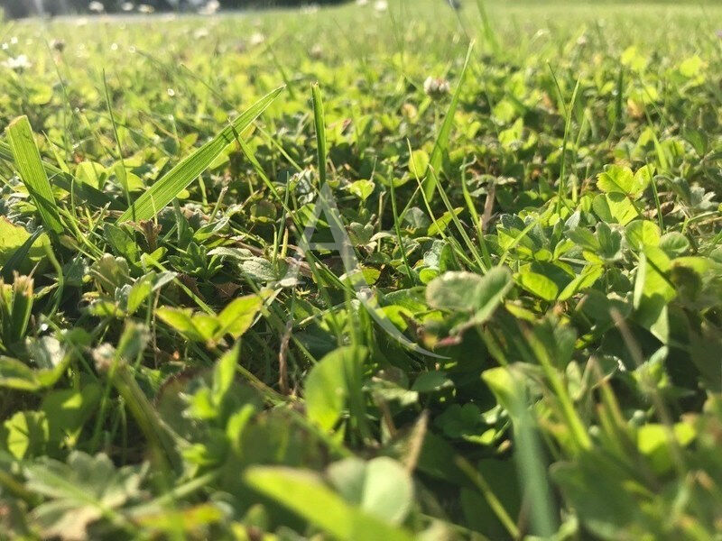 Photo A vendre - Terrain de 2832m² - testauto_Terrain_30-10-2025 image 1/6