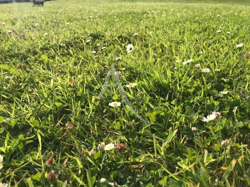 Photo A vendre - Terrain de 2832m² - testauto_Terrain_30-10-2025 image 6/6