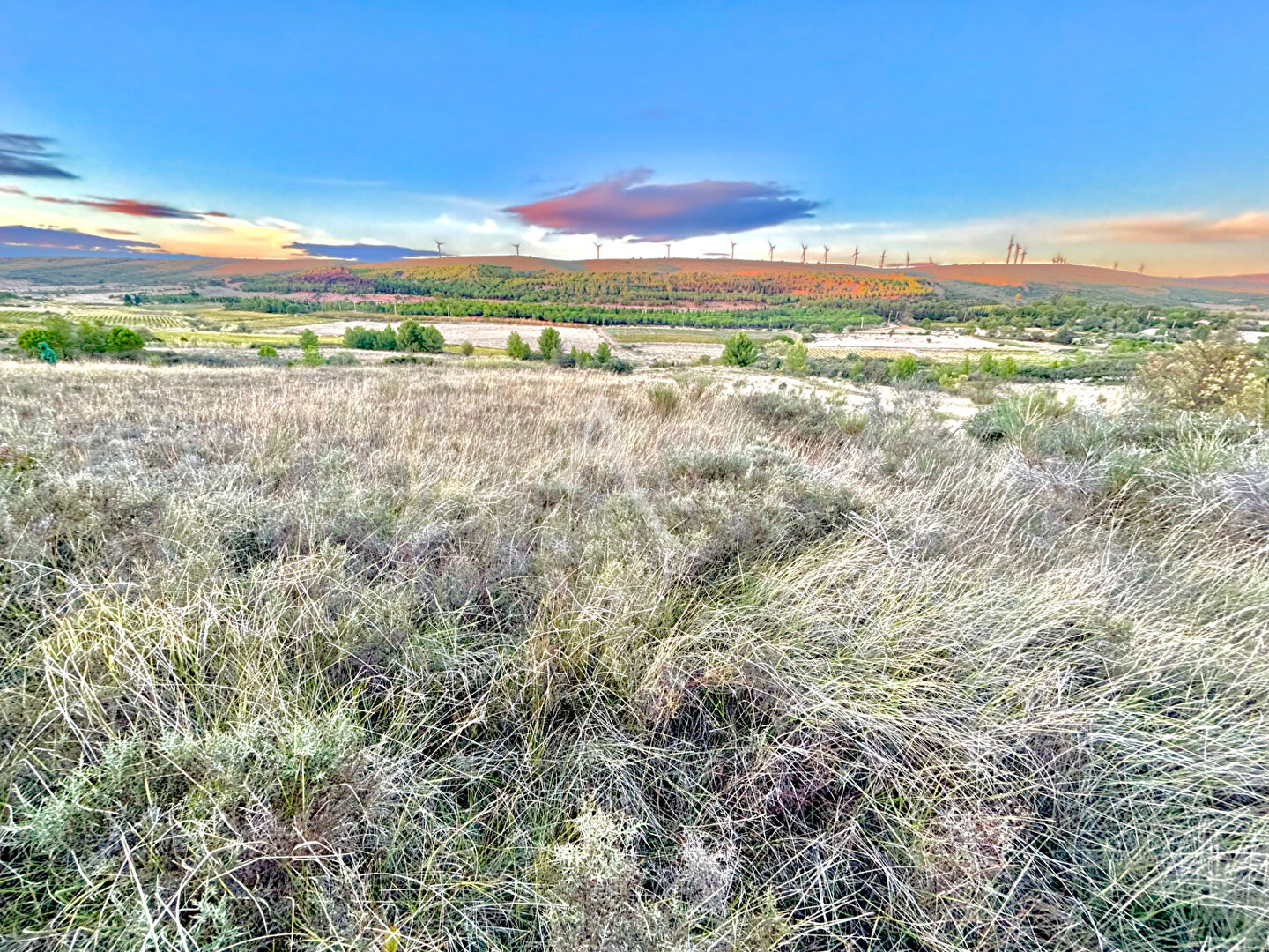 Photo Villeveyrac, Terrain de loisirs 7463m2 image 2/5