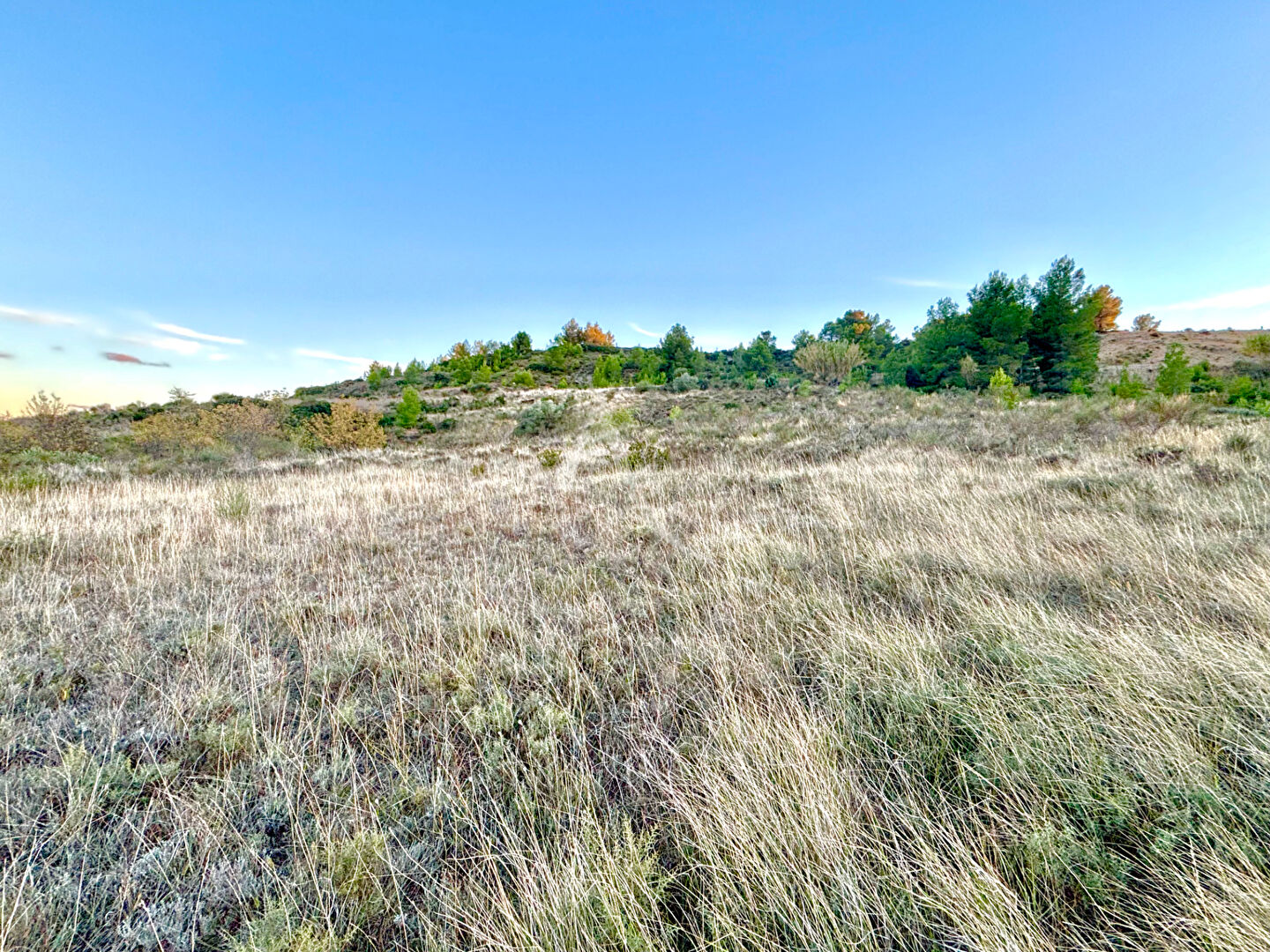 Photo Villeveyrac, Terrain de loisirs 7463m2 image 3/5