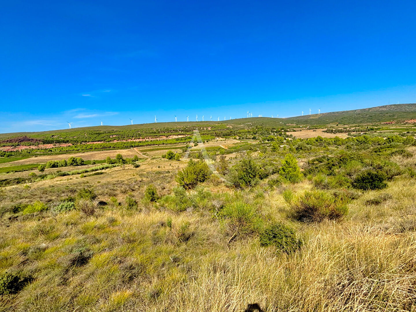 Photo Villeveyrac, Terrain de loisirs 7463m2 image 4/5