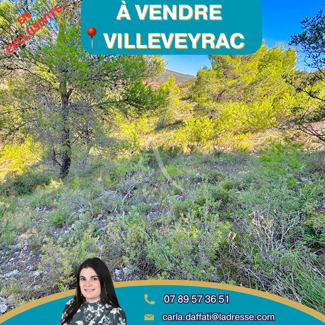 Villeveyrac, terrain de loisirs 13052m2
