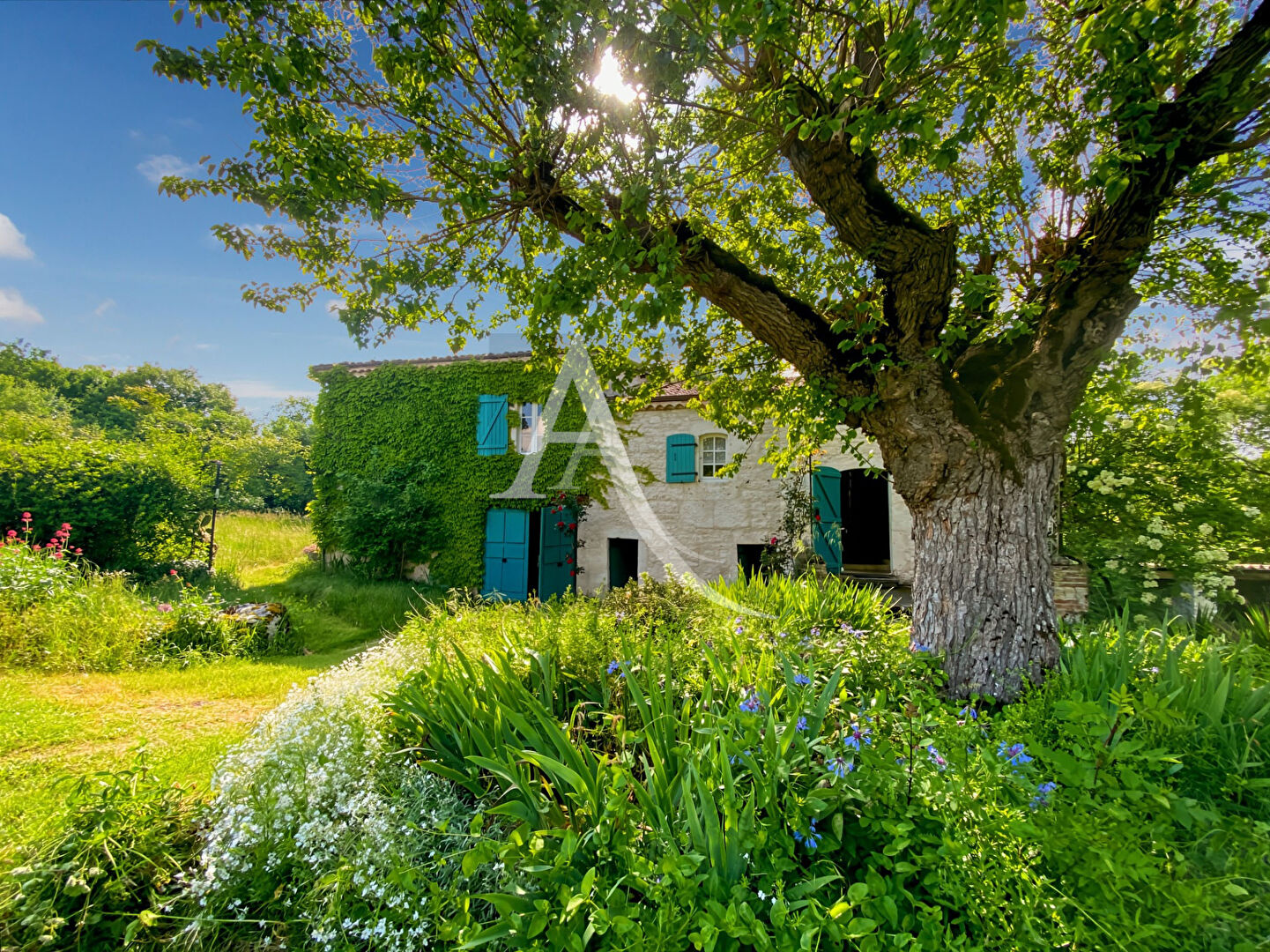 UNIQUE PROPRIETE avec 26 hectares ..