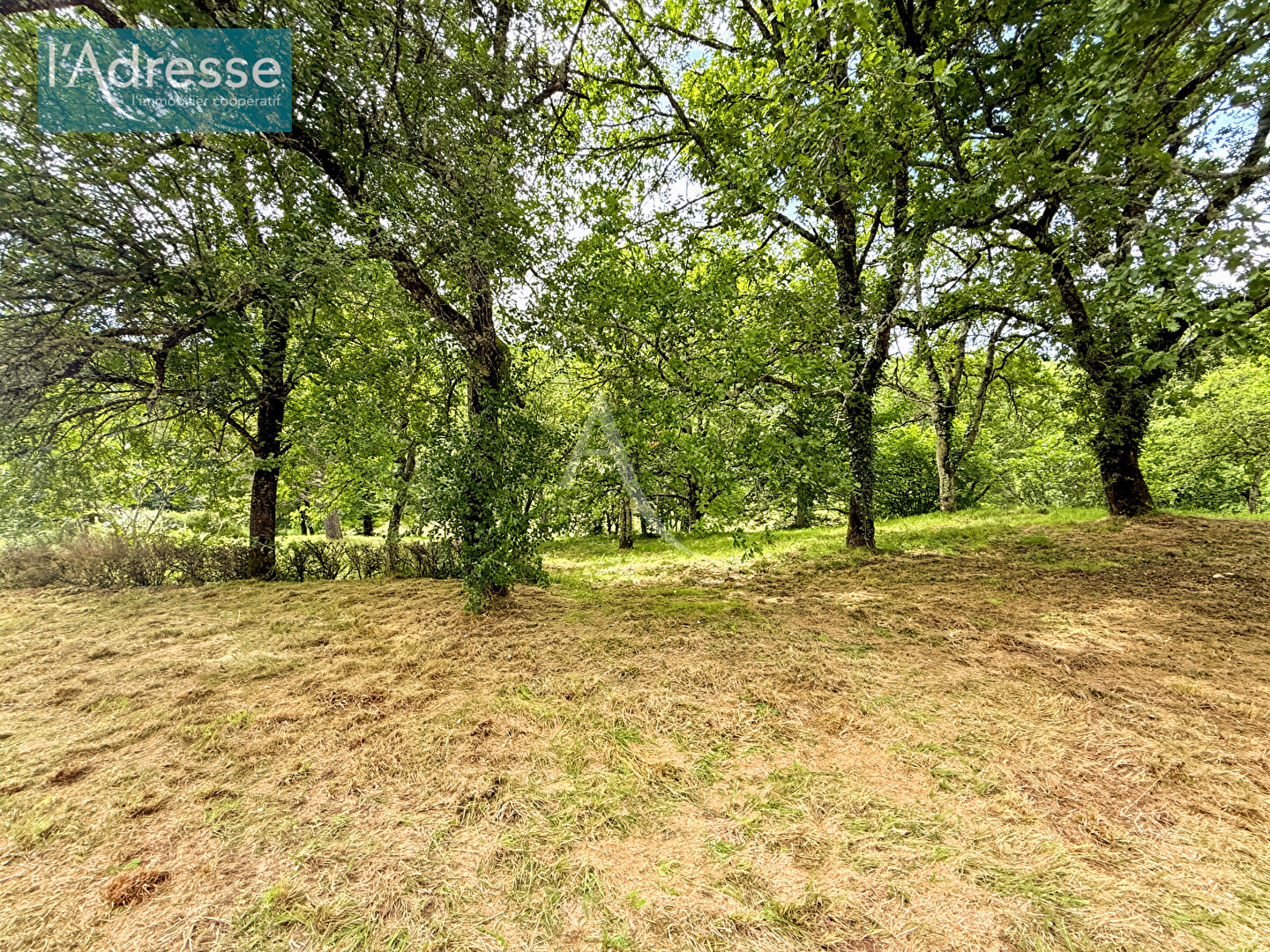 Photo Maison à la campagne image 3/6