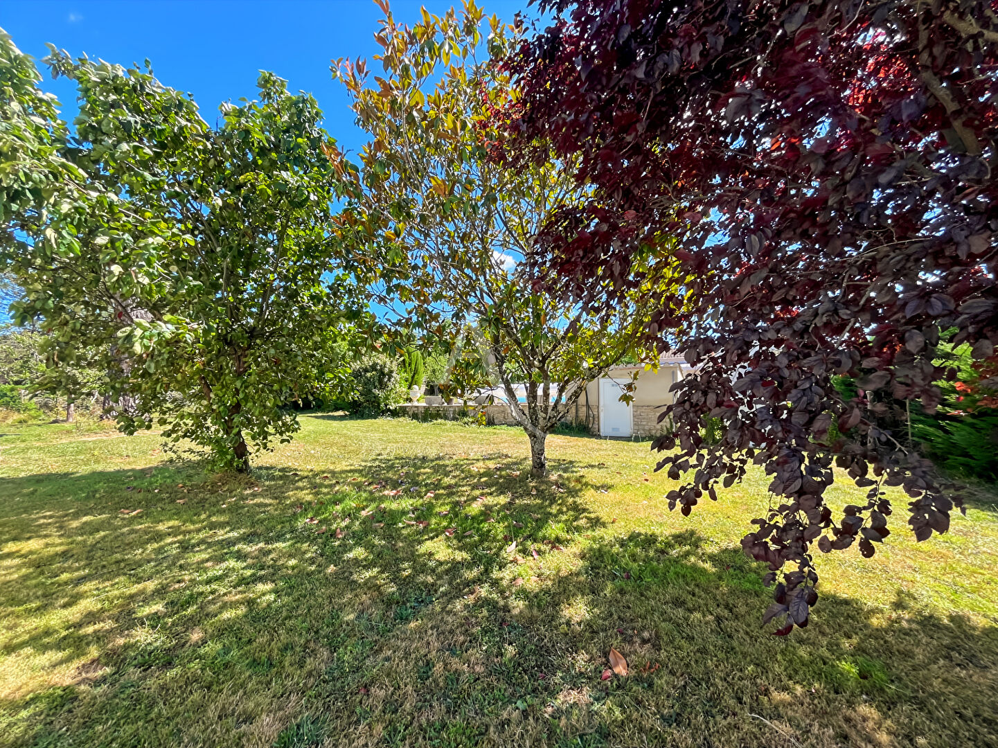 Photo À VENDRE ? Maison rénovée avec gîte indépendant, piscine et jardin clos image 4/6