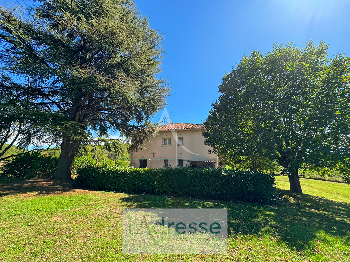 Photo Belle Maison Spacieuse avec beau terrain Arboré image 1/6